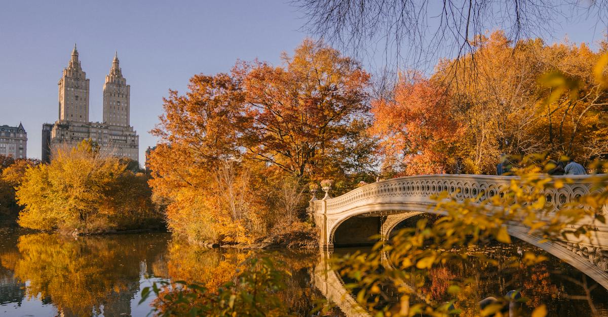 bow-bridge-crossing-calm-lake-in-autumn-park