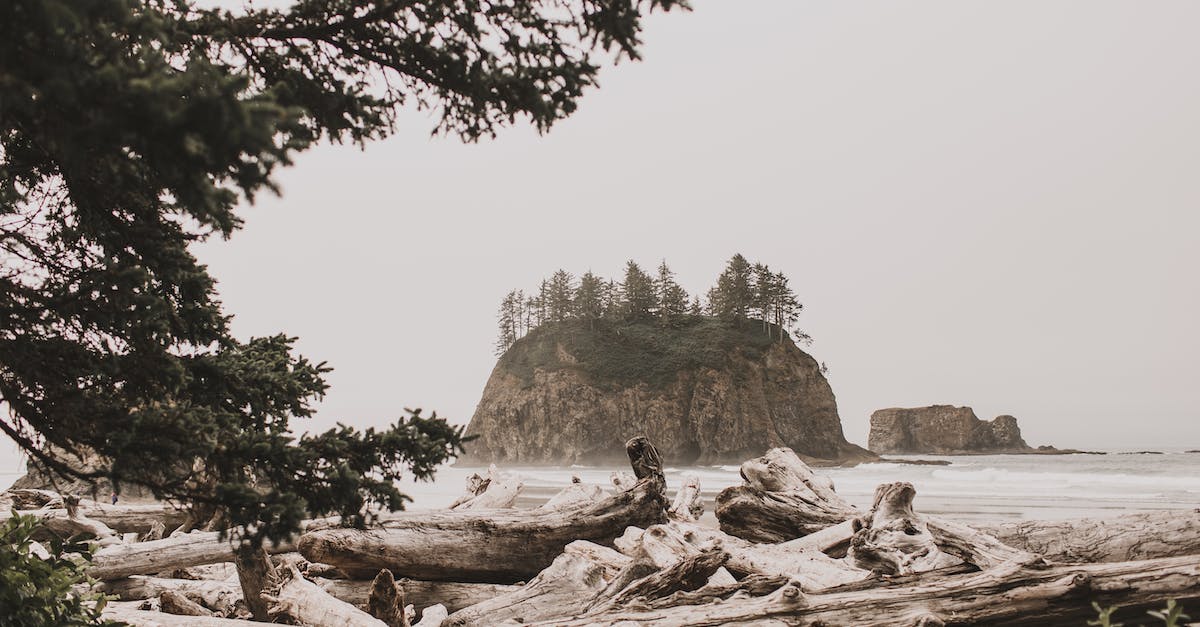 brown-wood-log-on-brown-rock-formation-1