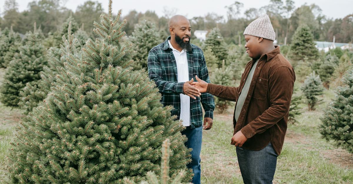 cheerful-african-american-dad-clapping-had-of-teenage-son-while-standing-in-farm-with-christmas-tree