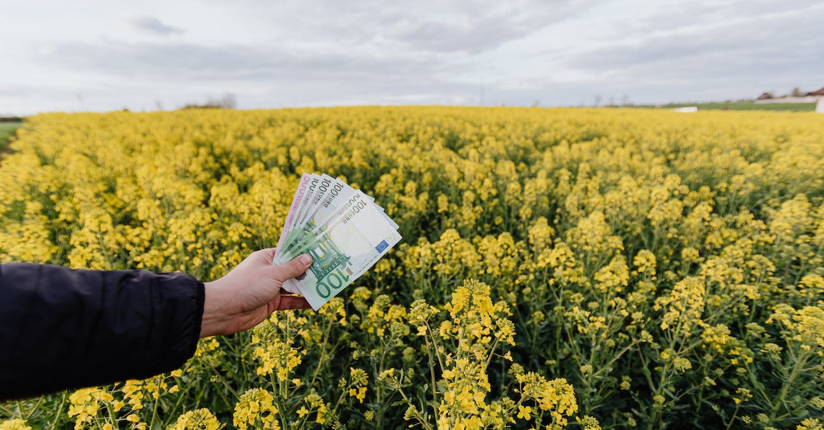 crop-man-with-paper-banknotes-on-blooming-meadow