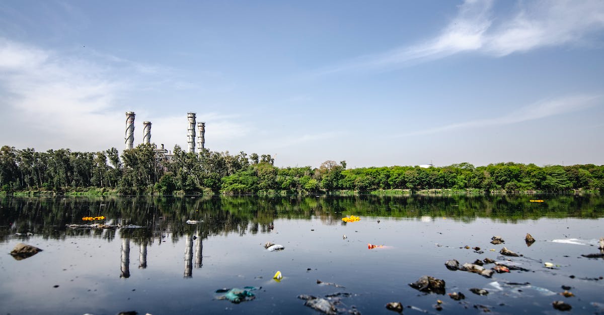 garbage-on-body-of-water