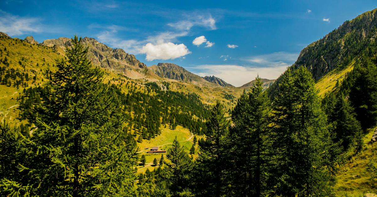 high-angle-shot-of-tall-green-trees-on-mountain-slopes-under-blue-sky