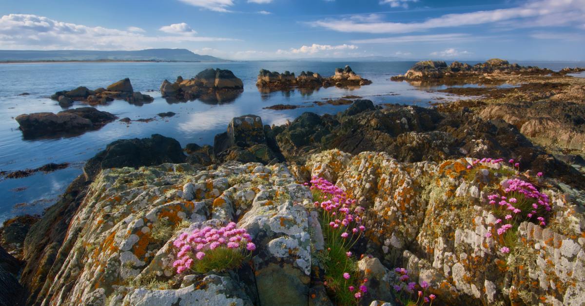 rock-formations-and-ocean-during-day