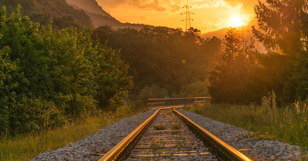 train-railway-near-trees