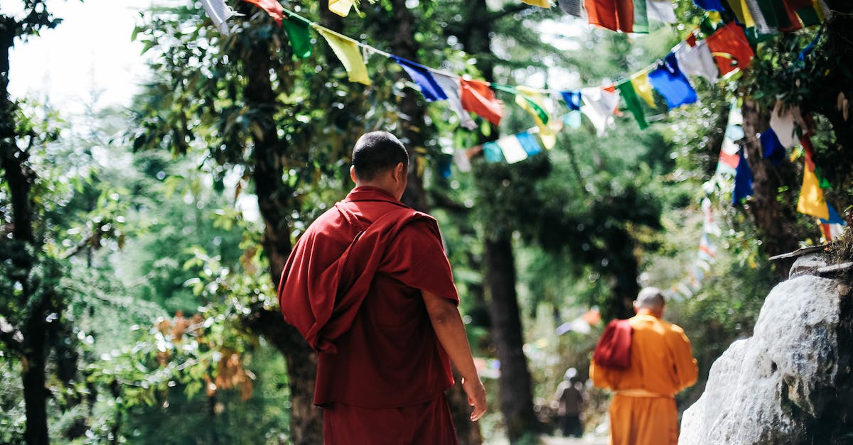 two-monks-walking-between-trees