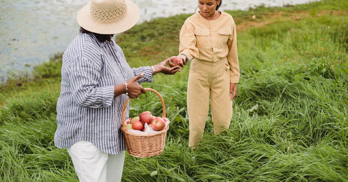 unrecognizable-ethnic-woman-carrying-wicker-basket-with-apple-harvest-and-giving-fresh-fruit-to-girl-1